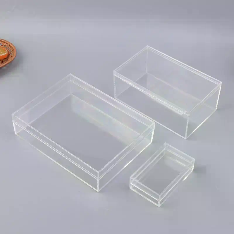 Yeni Kalınlaştırılmış Dikdörtg - Food Storage Of Plants incelemesi ve fiyatı