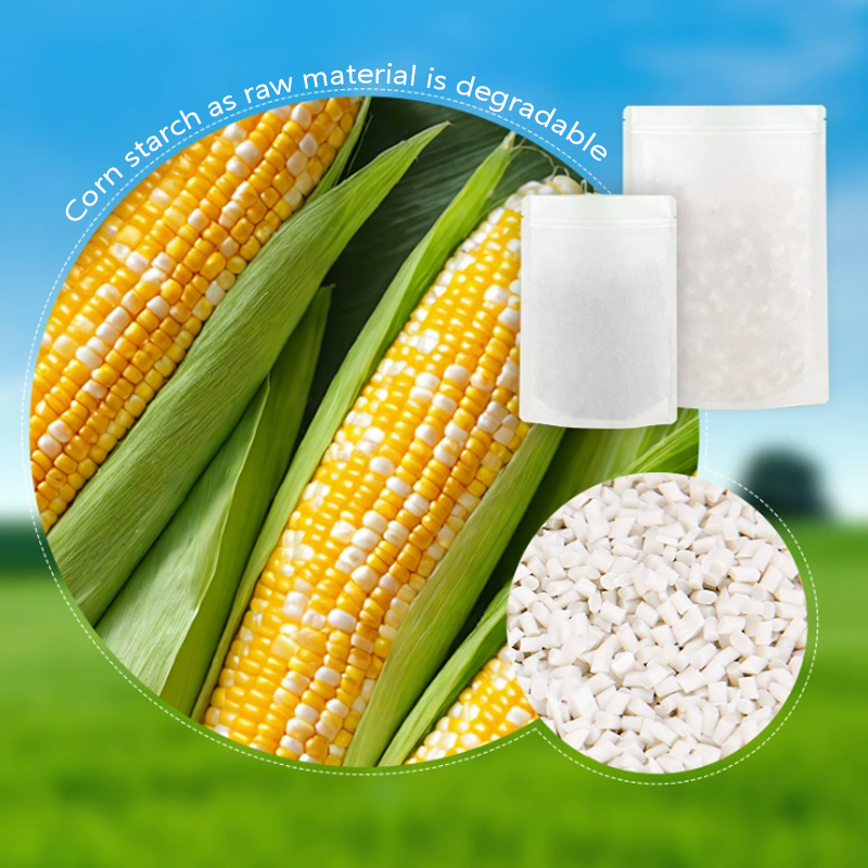 Özelleştirilmiş Biyobozunur Kr - Food Storage Of Plants incelemesi ve fiyatı