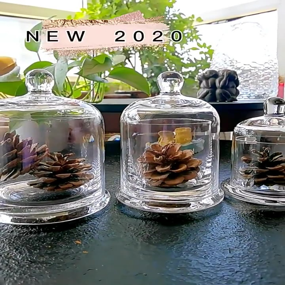 Cam Saklama Kavanozu Ebedi Çiç - Food Storage Of Plants incelemesi ve fiyatı
